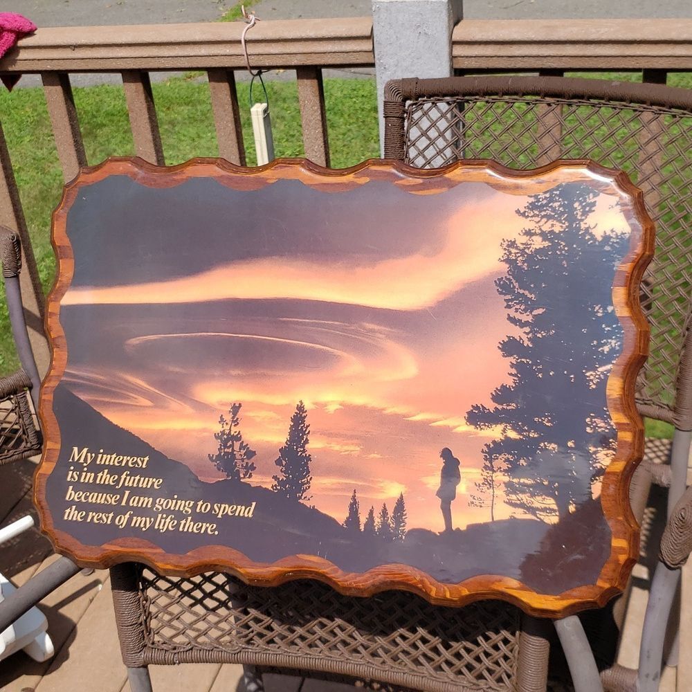 Lovely Vintage 1970s Wooden Wall Decor with Lacquered Top Surface (23" x 16")